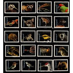 # Endangered Species, Set of 20 Single Stamps
